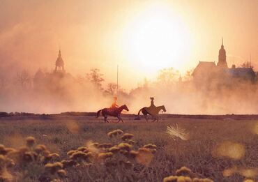 Piscine naturelle : guide complet pour aménager un bassin écologique