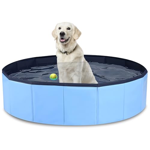 Piscine Pliable Antidérapante Pour Chien