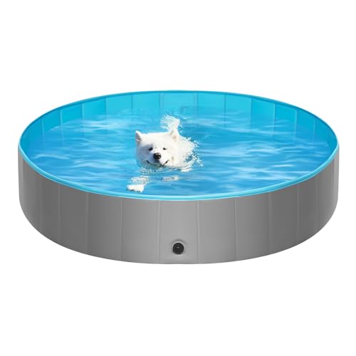 Piscine pour chiens