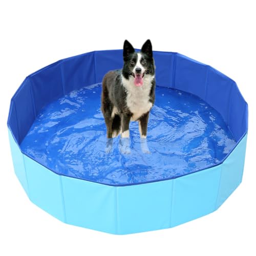 Piscine pour chiens
