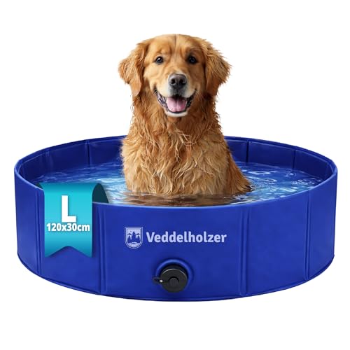 Piscine Pliable Antidérapante pour Chien