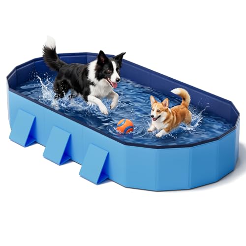Piscine pour Chien 180 cm Pliable, Grande Piscine Chien avec