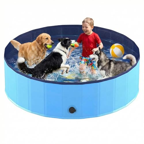 Piscine pour chiens