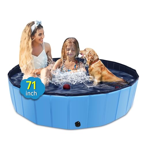 Piscine Pliable XXL Pour Chiens