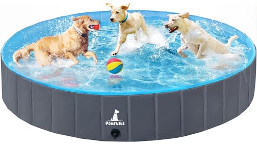 Pourbibi Piscine pour Grands Chiens, Bassin de baignade Plia