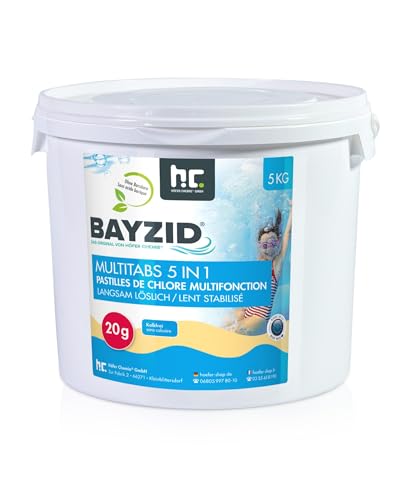 Höfer Chemie 4 x 5 kg Pastilles de Chlore (20 g) Multifoncti