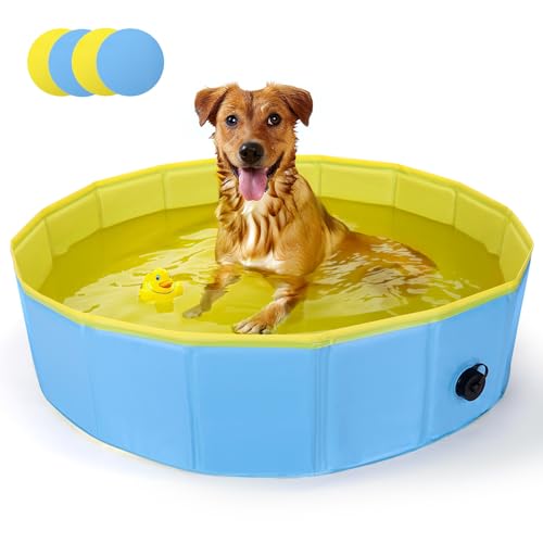 Piscine pour chiens