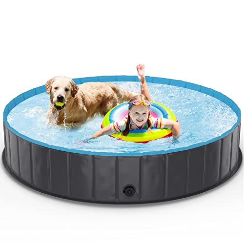 Piscine Pliable XXL pour Chien