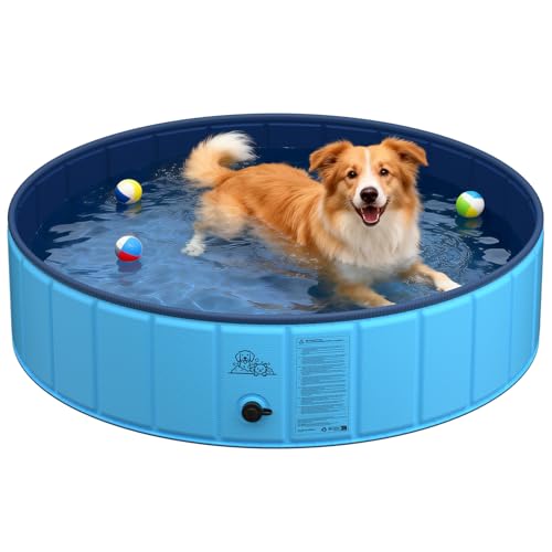 Piscine Pliable Antidérapante Chien 120cm