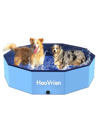 Piscine pour chiens