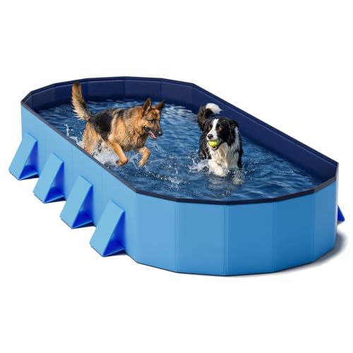 Piscine Pliable XXL pour Chien