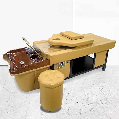 Table de Massage Professionnelle avec shampoing, Table de Ma