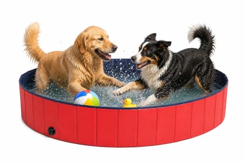 lionto Piscine Pliable pour Chien en PVC résistant aux griff