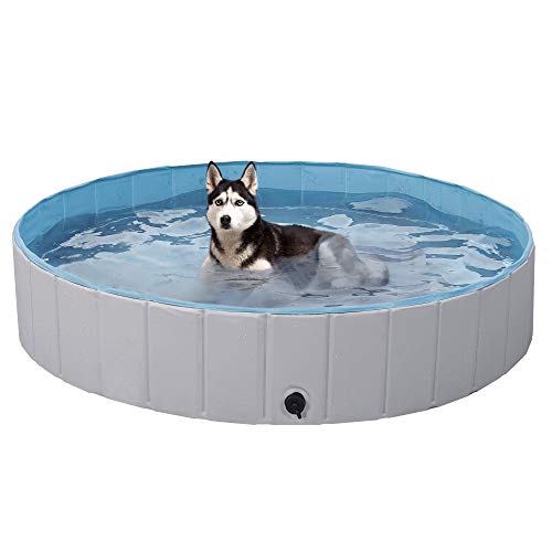 Piscine Pliable Anti-Dérapante Chien