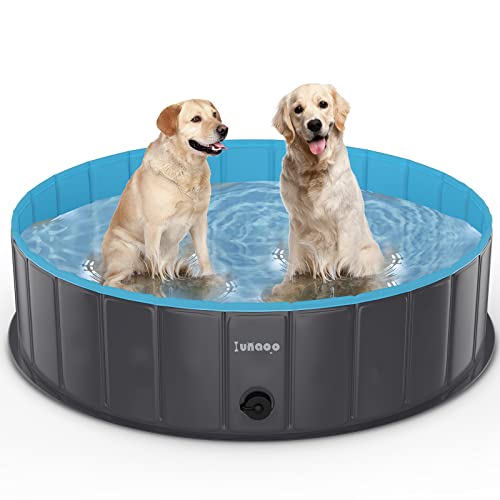 Piscine Pliable Chien PVC 120x30cm