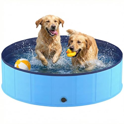 Piscine Pliable Antidérapante pour Chien