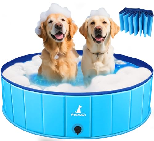 Piscine Pliable Antidérapante Chiens