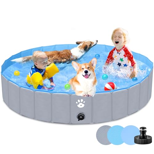 Piscine Pliable XL Antidérapante Chien