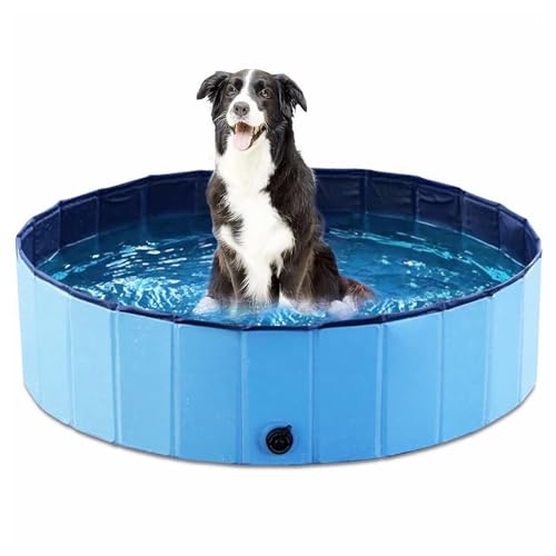 Piscine pour chiens