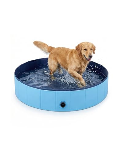 Piscine pour chiens
