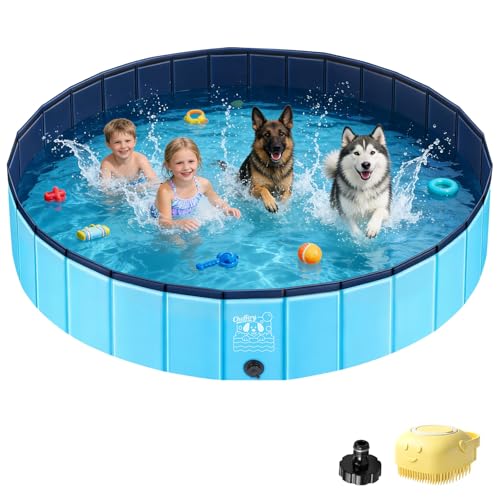 Piscine pour chiens