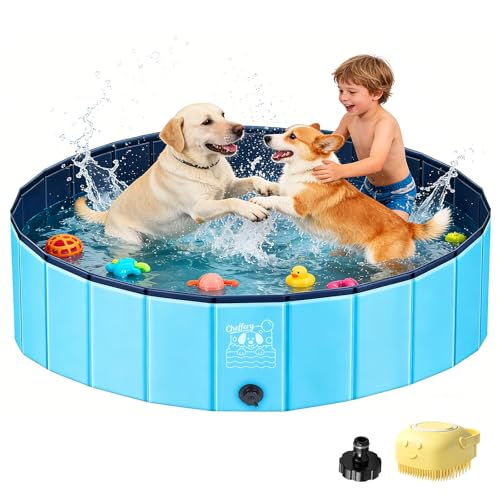 Piscine Pliable Antidérapante pour Chiens