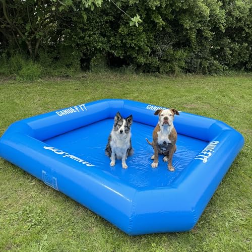 Piscine Chien XXL Carrée 2,5m