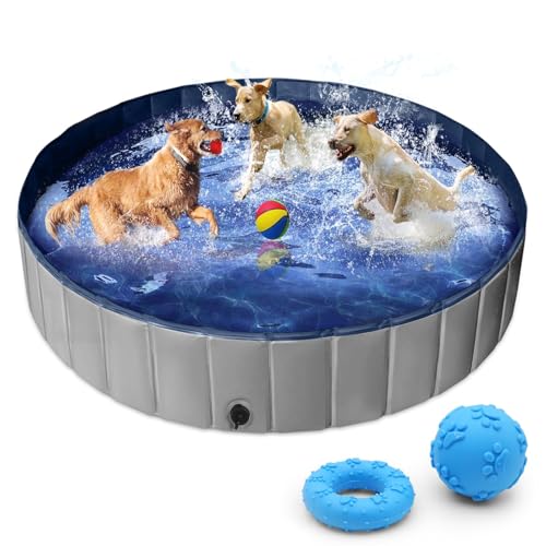 Piscine pour chiens