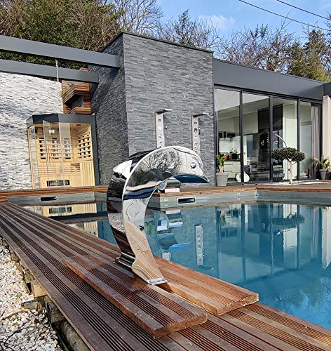 Cascade Inox Fontaine Piscine Bassin Modèle Dauphin avec Oeu